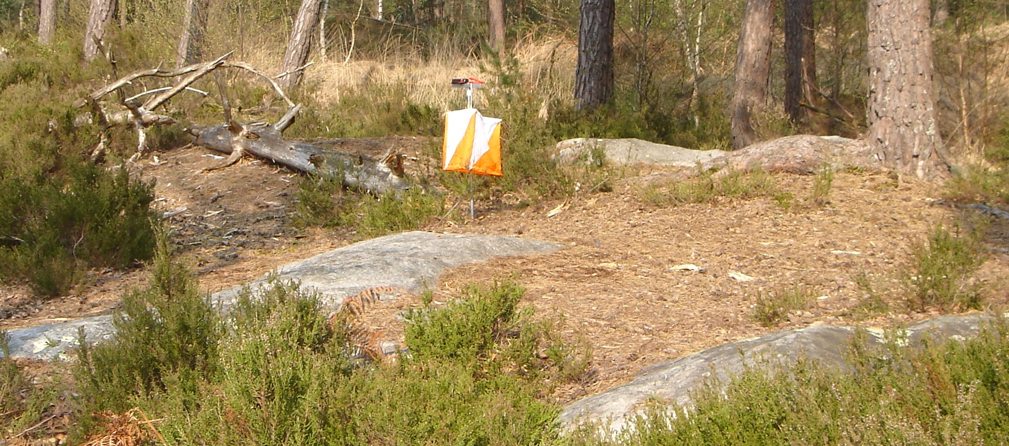 norska-test